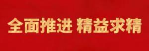 履踐致遠(yuǎn)向未來(lái) | 洛陽(yáng)正大精英特訓(xùn)營(yíng)“磐石計(jì)劃”精益生產(chǎn)項(xiàng)目召開(kāi)復(fù)盤(pán)追蹤會(huì)